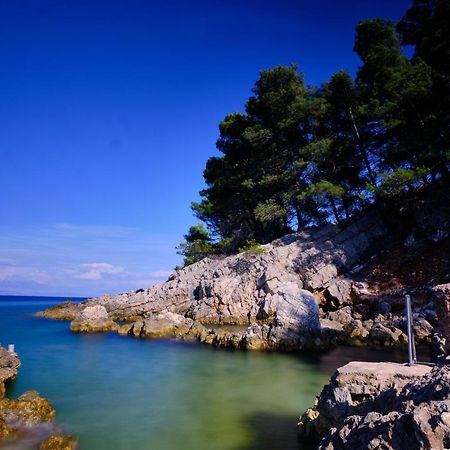 Vila Vita Donje Selo na Šolti 外观 照片