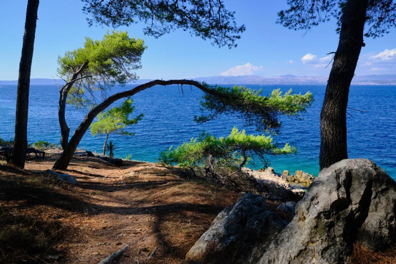 Vila Vita Donje Selo na Šolti 外观 照片