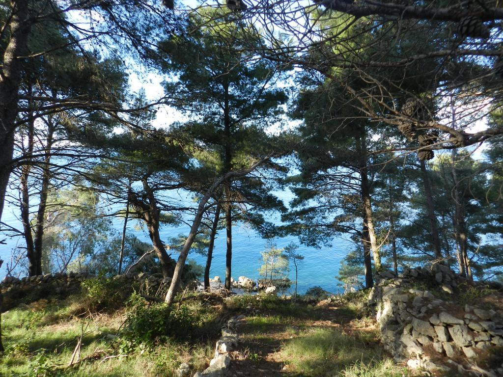Vila Vita Donje Selo na Šolti 外观 照片