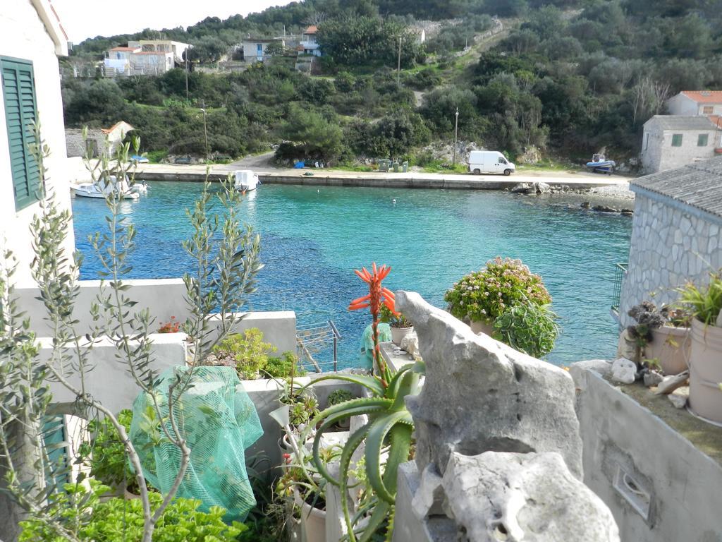 Vila Vita Donje Selo na Šolti 外观 照片