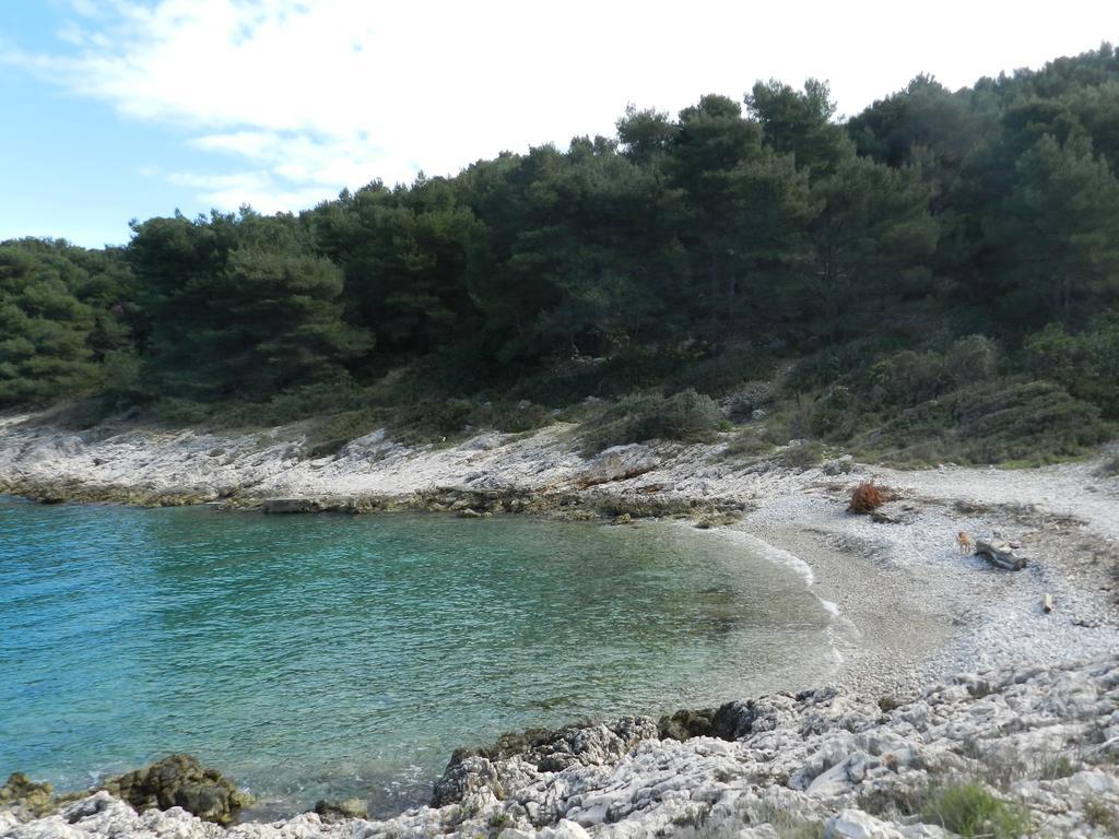 Vila Vita Donje Selo na Šolti 外观 照片