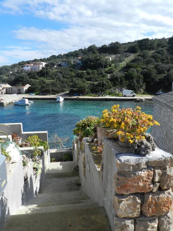 Vila Vita Donje Selo na Šolti 外观 照片